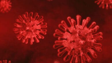 COVID-19 is airborne, say 239 scientists; ask WHO to revise guidelines