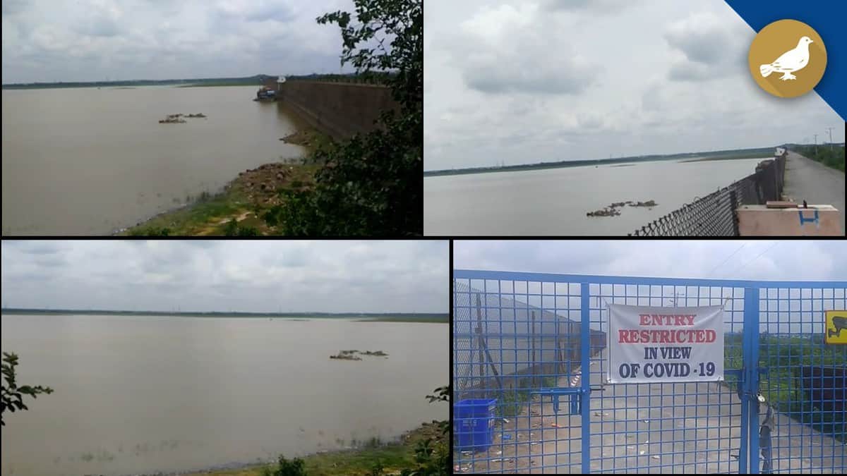 Water level rises in Himayat Sagar