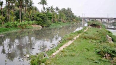 Musi river