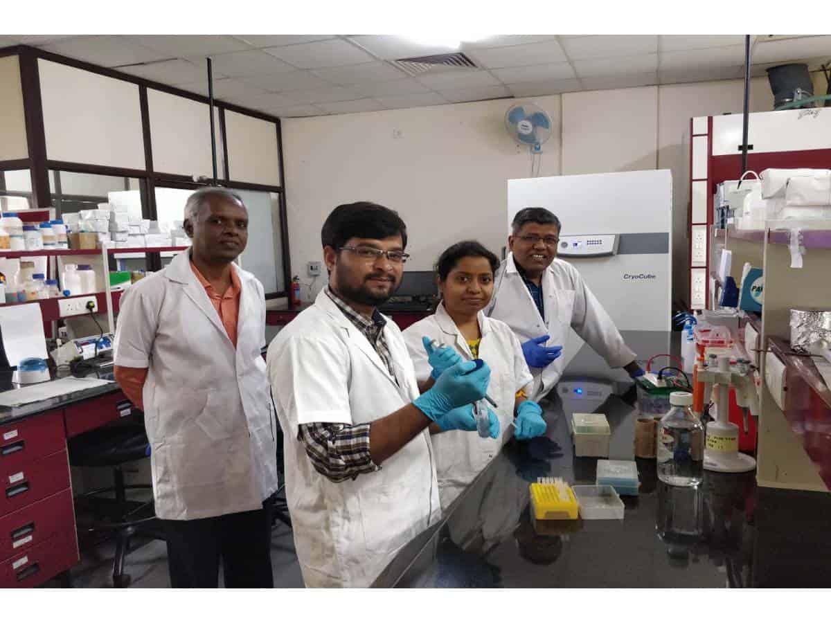 UoH researchers identify possible cause for platelet reduction in dengue patients