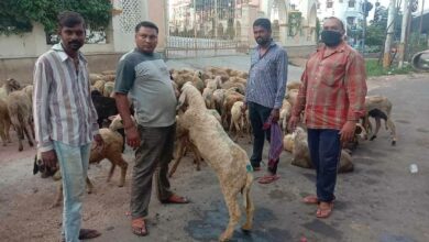 Eid-ul-Adha butchers to charge more for 'Qurbani'