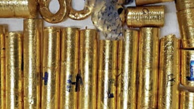 Kerala gold smuggling: NIA invokes UAPA against Swapna Suresh, 3 others (Ld)