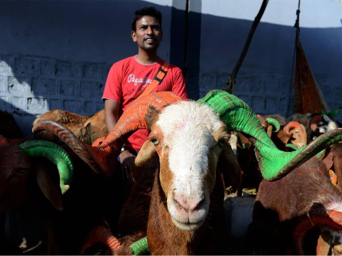 Don't offer sacrifice on roads in Bakrid: JIH to Muslims