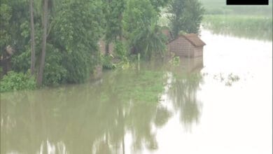biharfloods