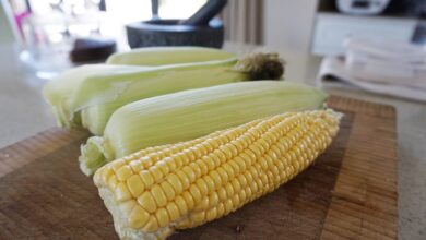 corncob