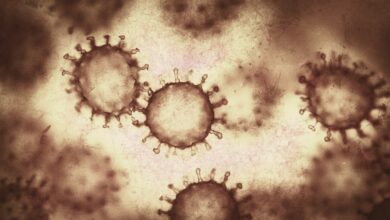 Coronavirus Covid-19 Epidemic Viral