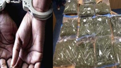 Delhi's minor boy held in Agra for smuggling cannabis