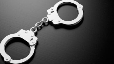 Meet Delhi's 12 'Most Wanted' criminals (IANS Exclusive)