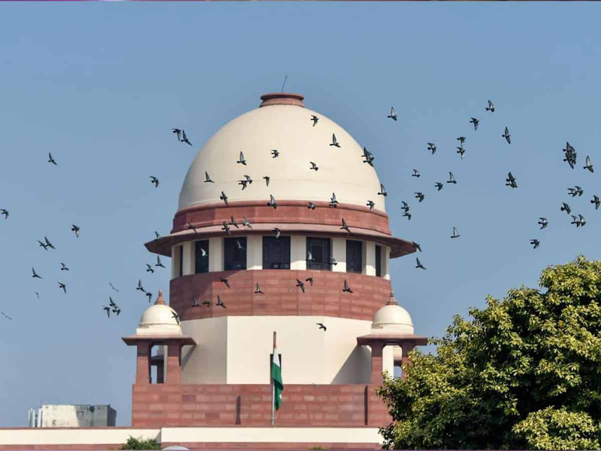 Court verdict will decide Pilot's fate in Rajasthan politics