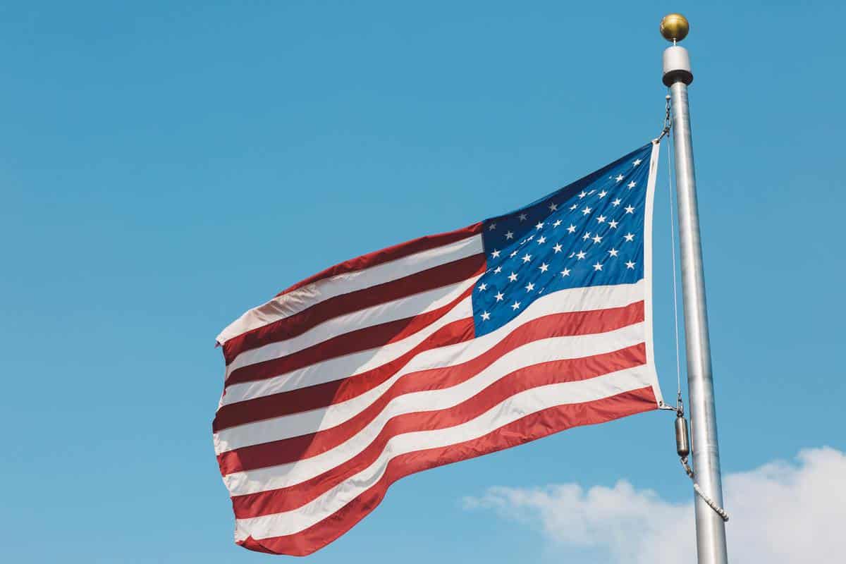 USA flags