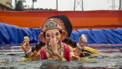 Bhagyanagar Ganesh Utsav Samithi questions HC ban on immersion of PoP idols in Hussain Sagar