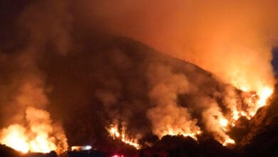 wildfire