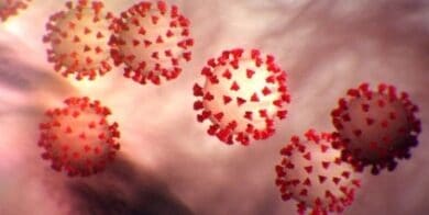 Delhi police head constable succumbs to coronavirus