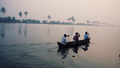 LPG-run ovens to keep Sunderbans fishermen away from tiger habitat