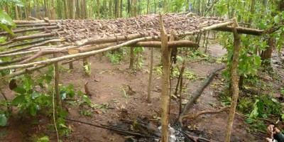 Four Maoist camps busted in Odisha
