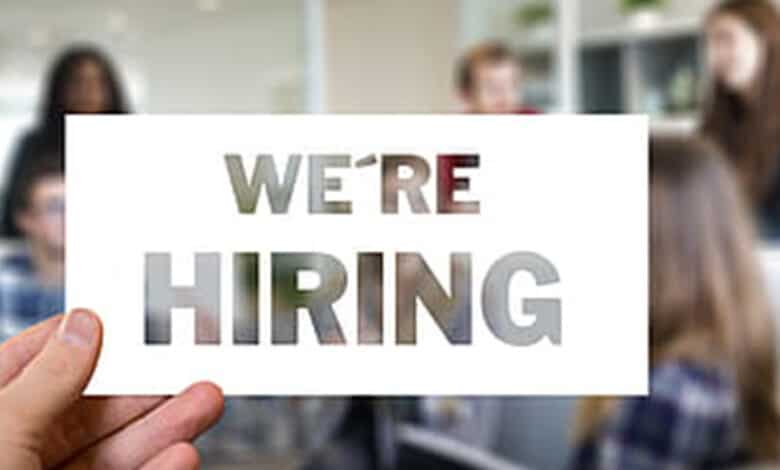 India saw 6% decline in hiring in Oct amid funding winter: Report