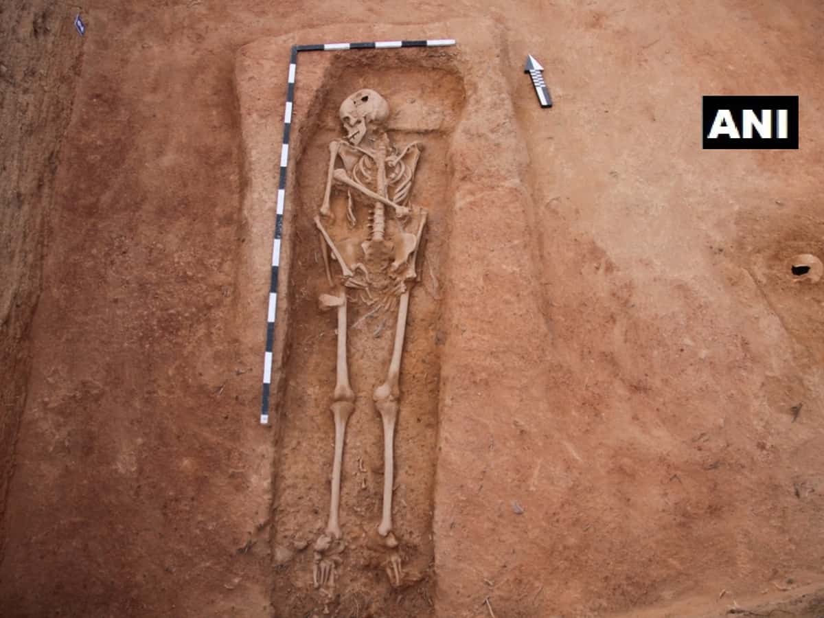 Human skeletal remains unearthed at TN's Kondagai excavation site