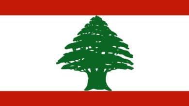Lebanon forms new government, breaking yearlong deadlock