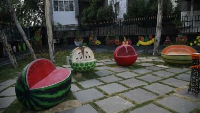 Hyderabad to get 50 Theme Parks