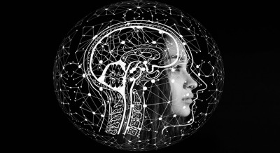 Researchers decode brain mechanism of taking risks
