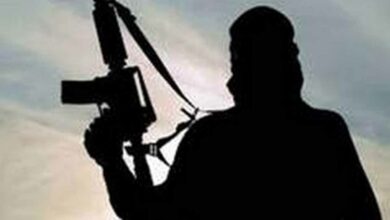 2 unidentified terrorists killed in Shopian encounter: Police
