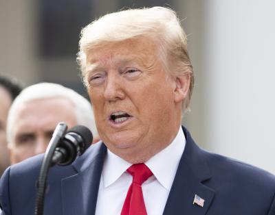 Trump working on 'a big immigration bill'