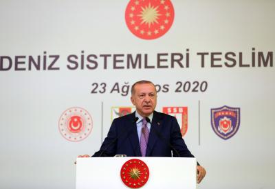 Turkey achieves solid progress in defence industry: Erdogan