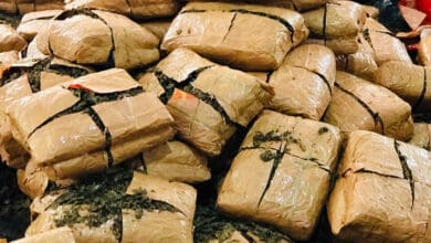 Ganja worth Rs 1 cr seized near Hyderabad