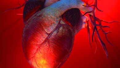 In a first, researchers 3D print lifelike heart valve models