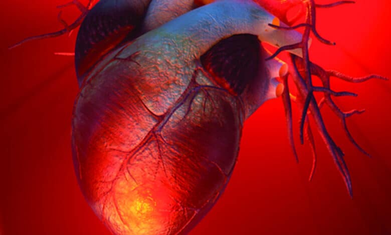 In a first, researchers 3D print lifelike heart valve models