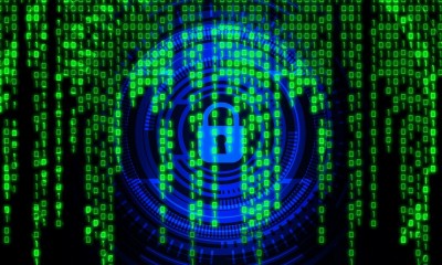 Hackers exploit Adobe Flash, IE browser to target porn surfers