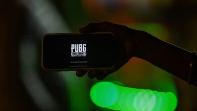 PUBG Mobile emerges as most downloaded mobile game worldwide for Nov 2021