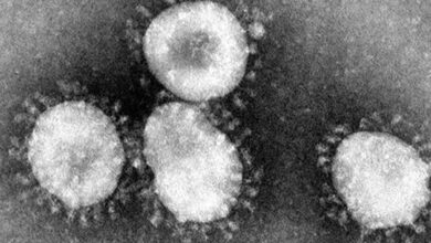 Meghalaya reports 73 new COVID cases, two more deaths