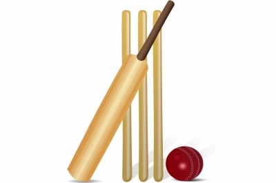 Cricket astronauts under pressure (Column: Close-in)