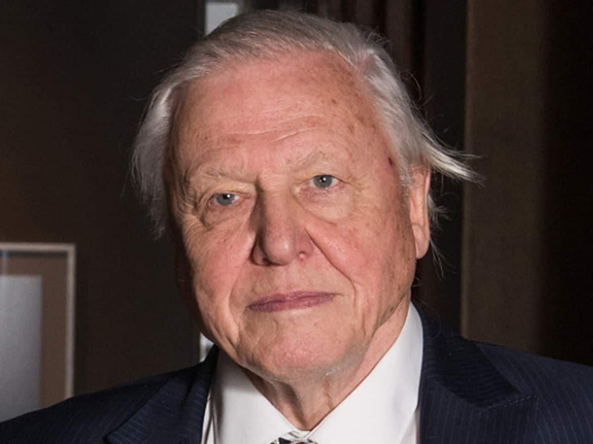 David Attenborough