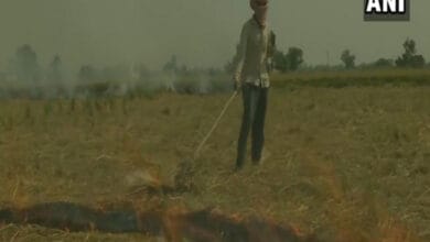 Amritsar farmers continue to burn stubble as alternative methods are expensive