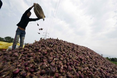 K'taka farmers seek exemption from export ban on 'Bangalore Rose' onions