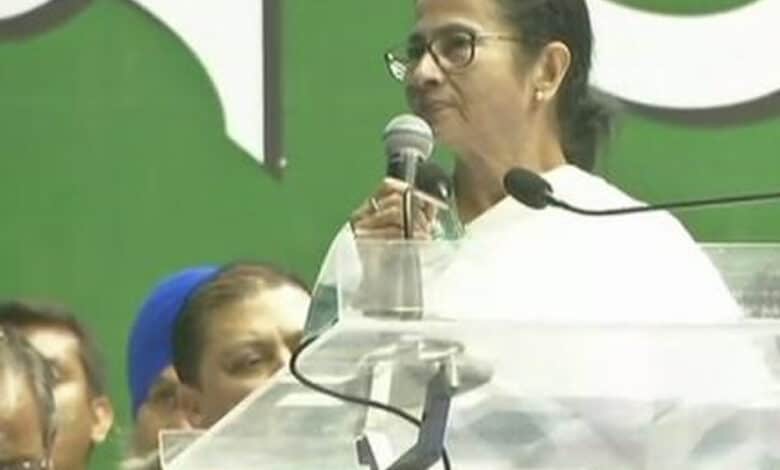 BJP exploiting citizenship issue for political gains: Mamata