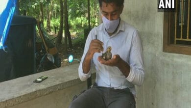 Vets remove rubber valve from cockatiel bird's throat
