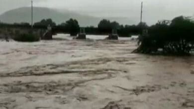 Parts of Telangana affected by incessant rainfall