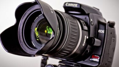 Wedding photographers struggle to make ends meet amid pandemic