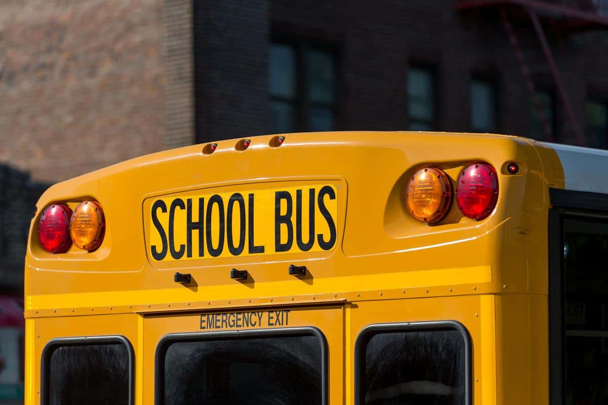 School bus, close up