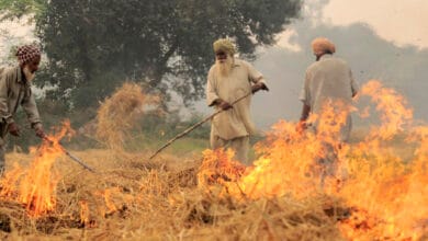 Delhi's air quality to turn 'poor' as stubble burning increases