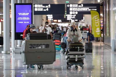 EU's domestic tourism recovers faster than foreign