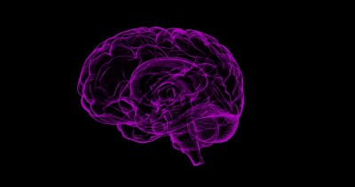 Herpes infection may impair human brain development: Study