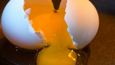 Importance of eggs to boost immunity on Worlds Egg day