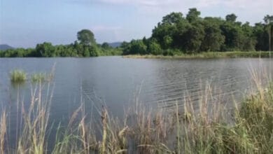 Kaziranga National Park remains shut due to heavy floods