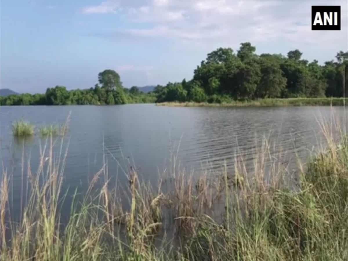Kaziranga National Park remains shut due to heavy floods