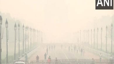 'Pollution watchdogs late this year again': Environmentalists