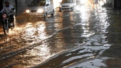 More rains forecast for flood-hit Hyderabad